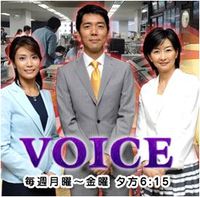 voice.JPG